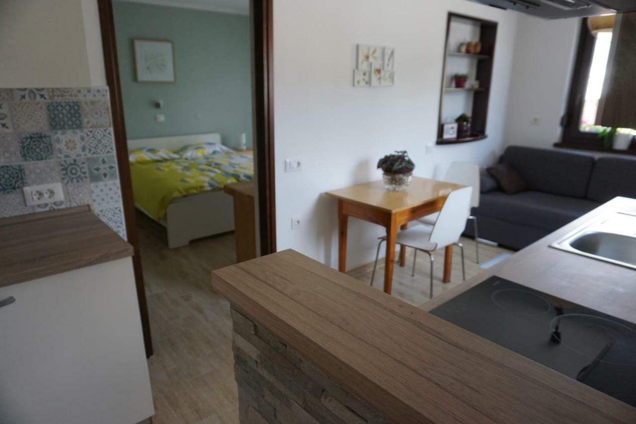 Apartma Irena Volce エクステリア 写真